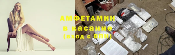 крисы Баксан