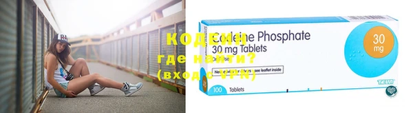 дмт Богданович