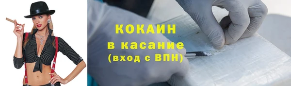 крисы Баксан