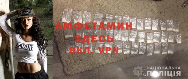 дмт Богданович