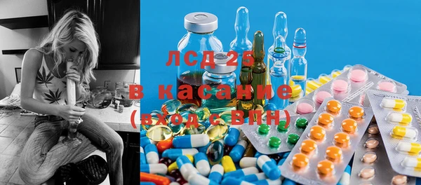дмт Богданович