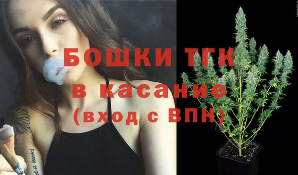 крисы Баксан