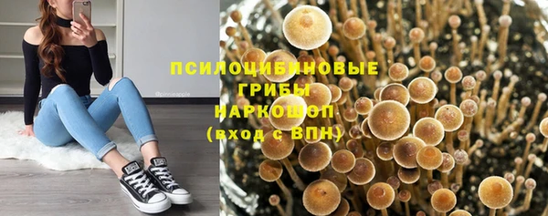 дмт Богданович