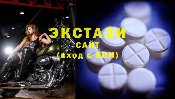 дмт Богданович